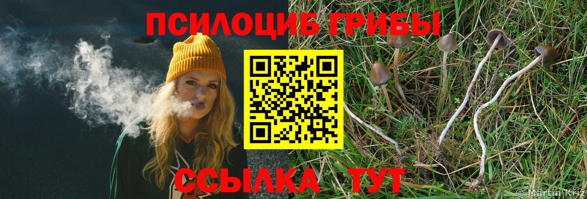 Богданович  Псилоцибиновые грибы мухоморы  Галлюциногенные грибы MAGIC MUSHROOMS  Вход с VPN 
