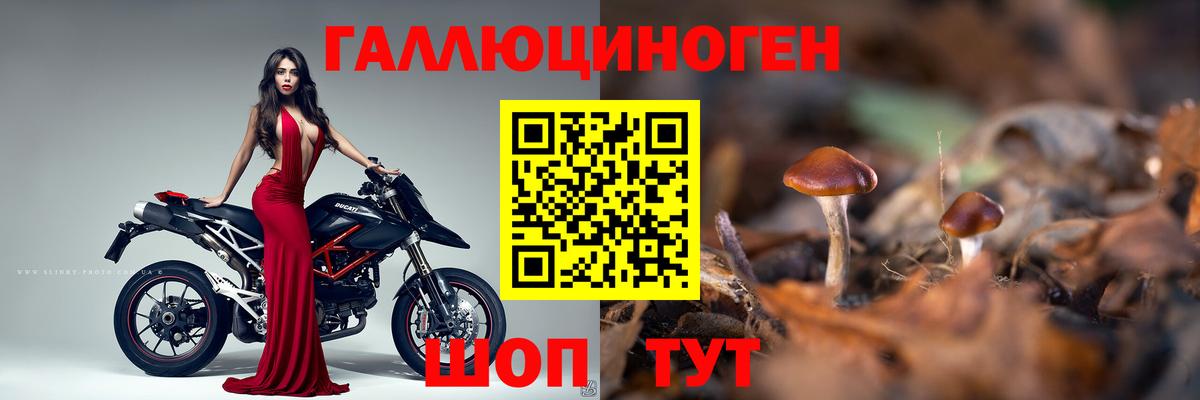 Галлюциногенные грибы прущие грибы Богданович