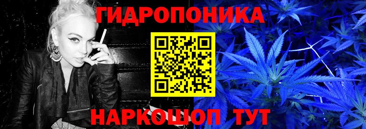 Шишки марихуана планчик Богданович